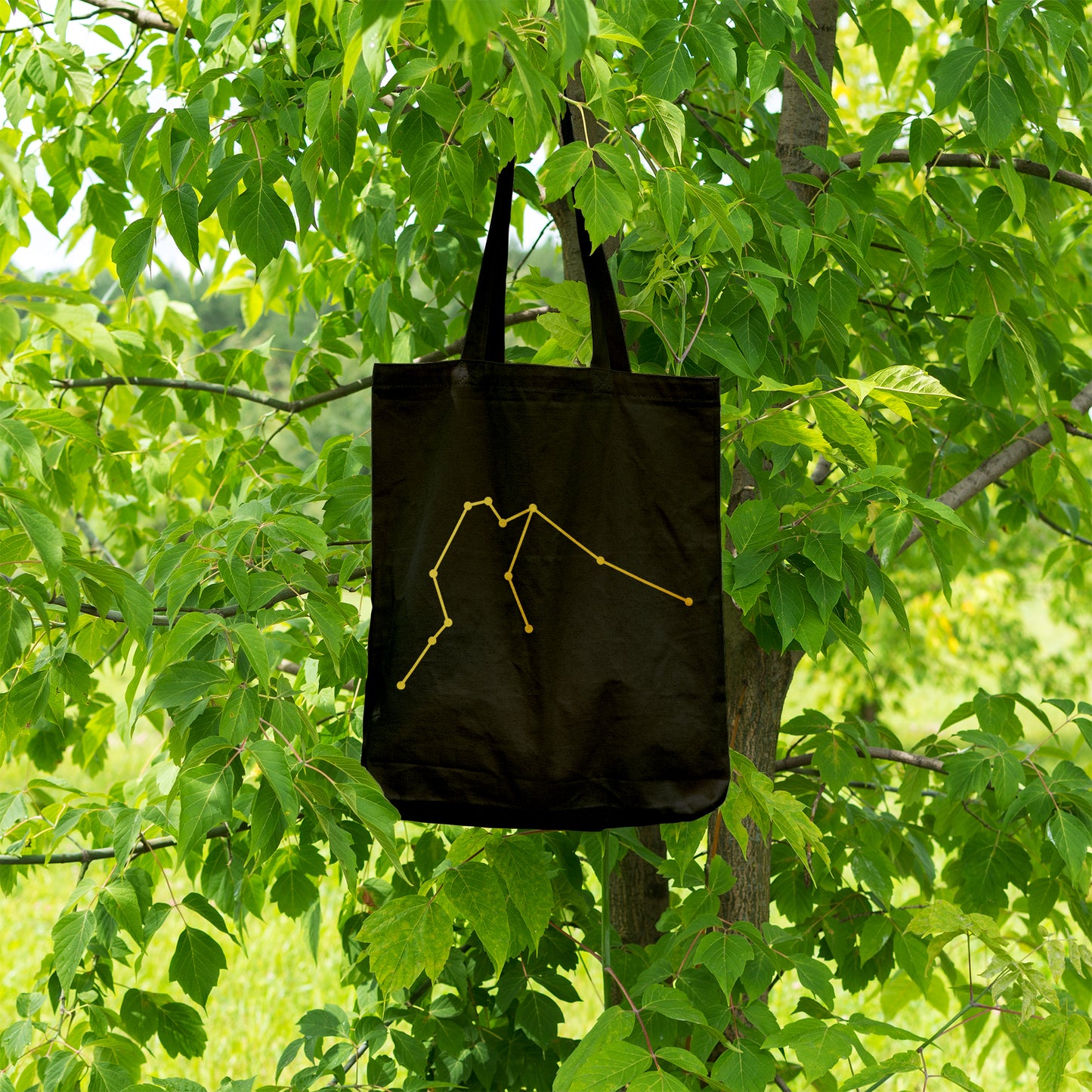 Aquarius constellation | 100% Organic Cotton tote bag-Tote bags-Adnil Creations