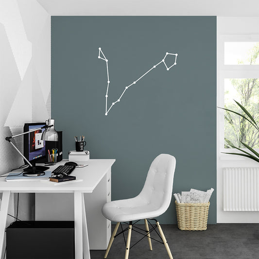 Pisces constellation | Wall decal-Wall art-Adnil Creations